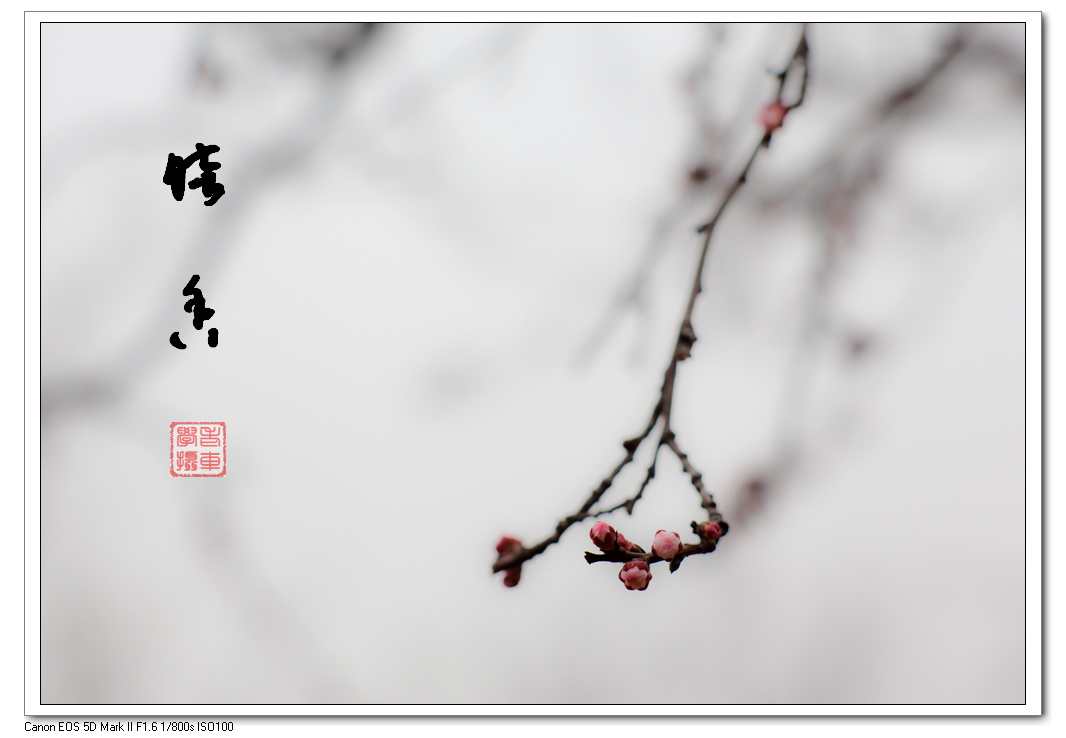 暗香.jpg