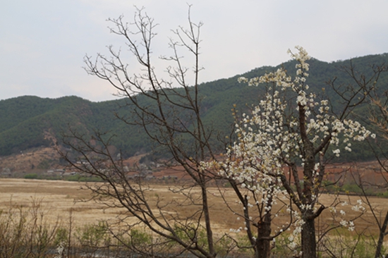 744A6194.JPG