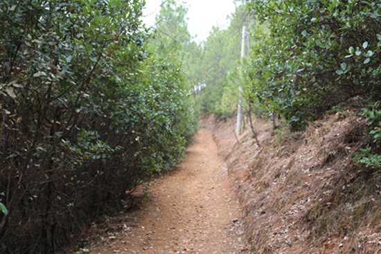 744A6201.JPG