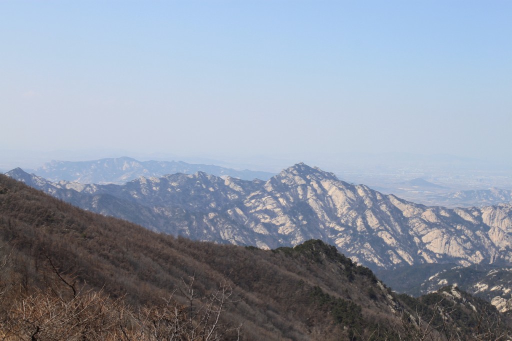 IMG_9205.jpg