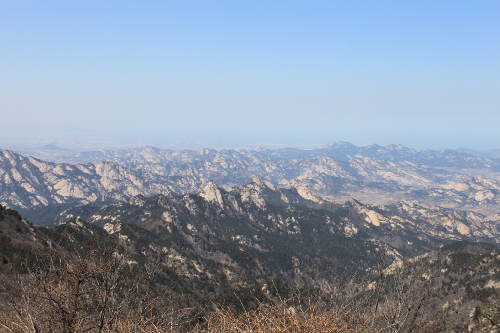 IMG_9204.jpg
