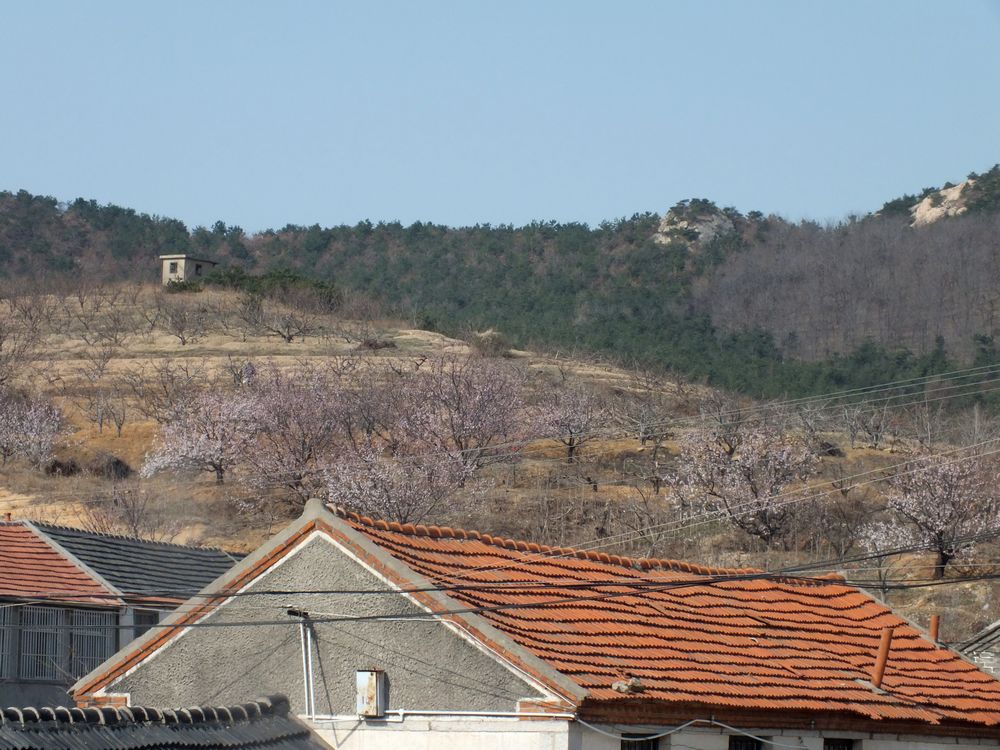 DSCF2658.JPG