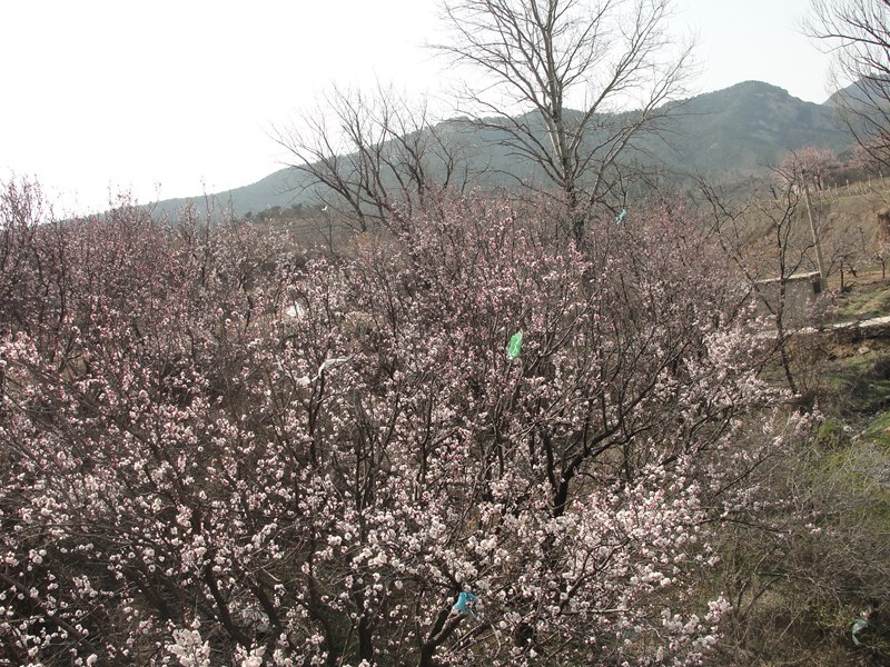DSC03358_副本.jpg