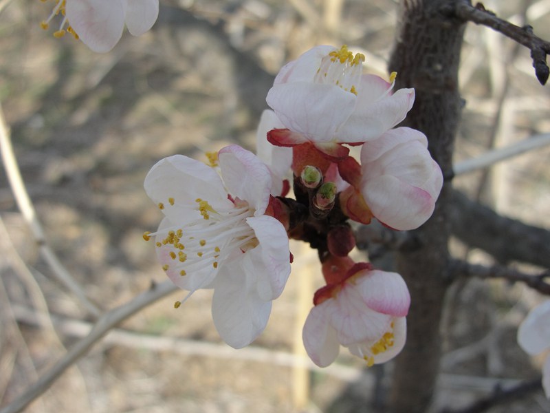 DSC03361_副本.jpg