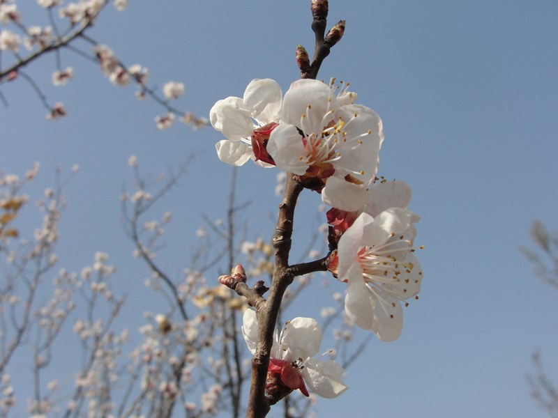 DSC03363_副本.jpg