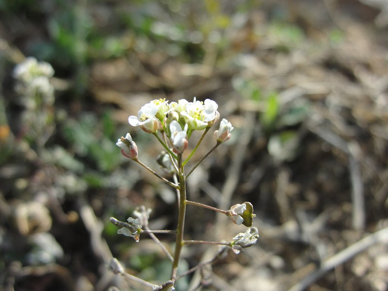DSC03390_副本.jpg