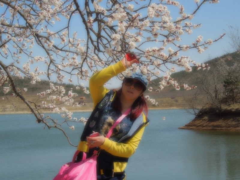 花2.jpeg