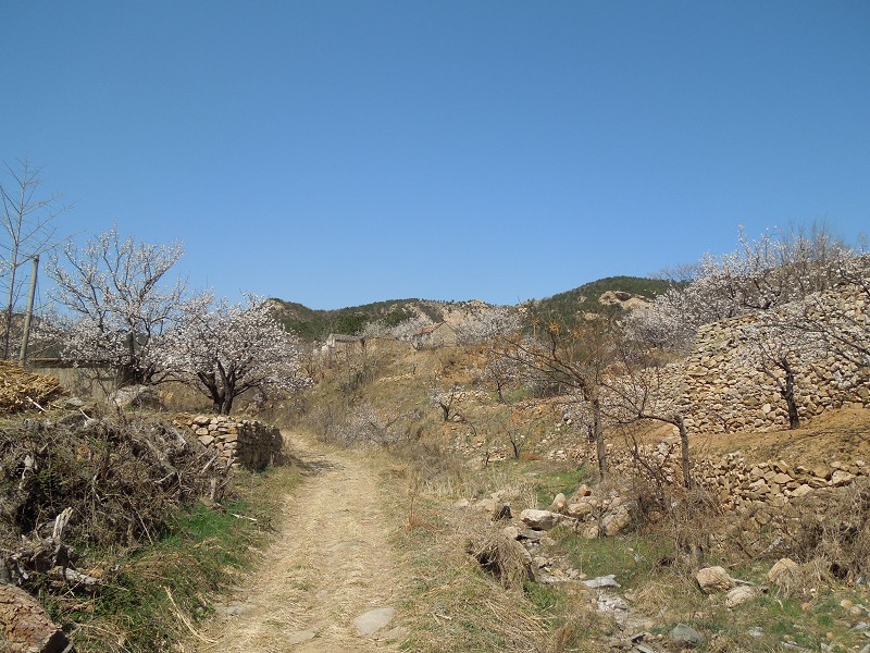 小山村.jpeg