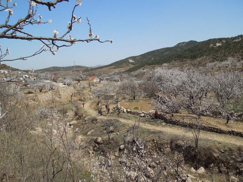 小山村5.jpeg