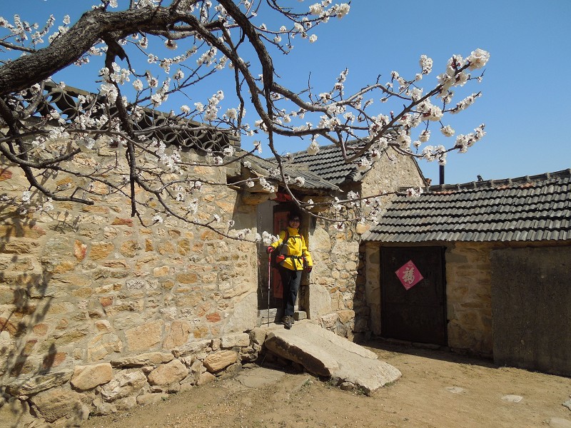 小山村来客.jpeg