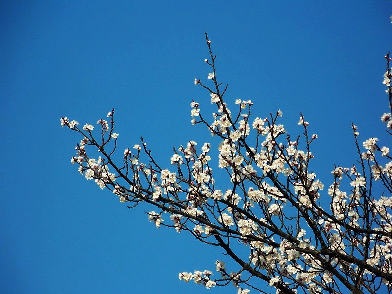 122_7352_缩小大小.JPG