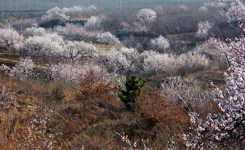 122_7345_缩小大小.JPG