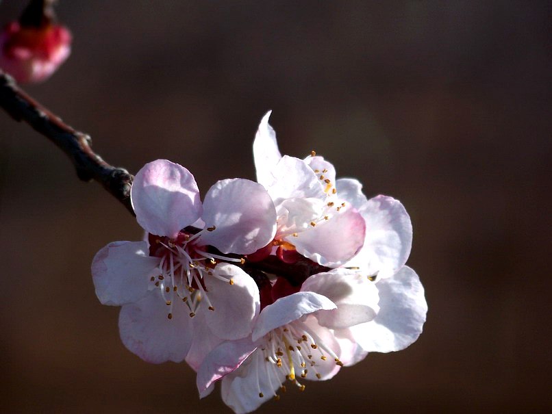 122_7359_缩小大小.JPG
