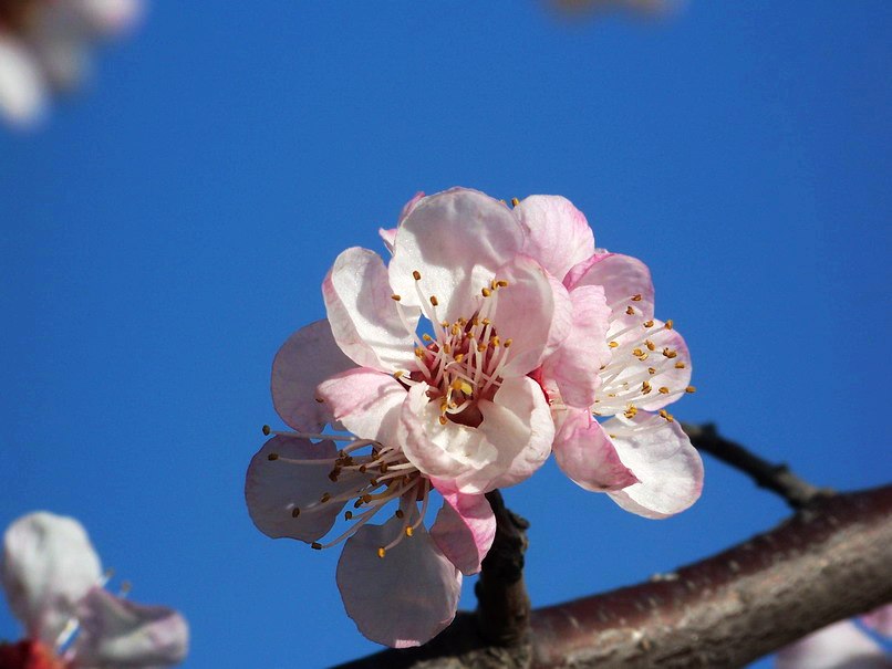 122_7367_缩小大小.JPG