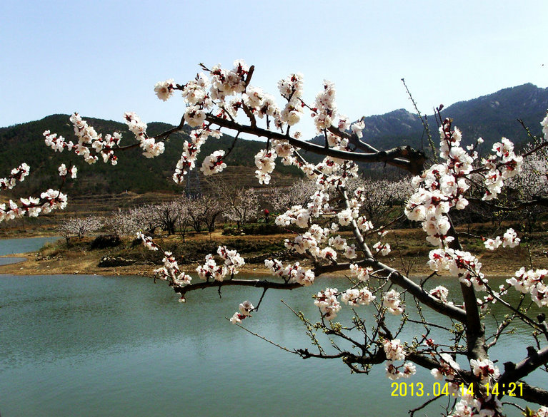 SNB15451_副本_副本.JPG