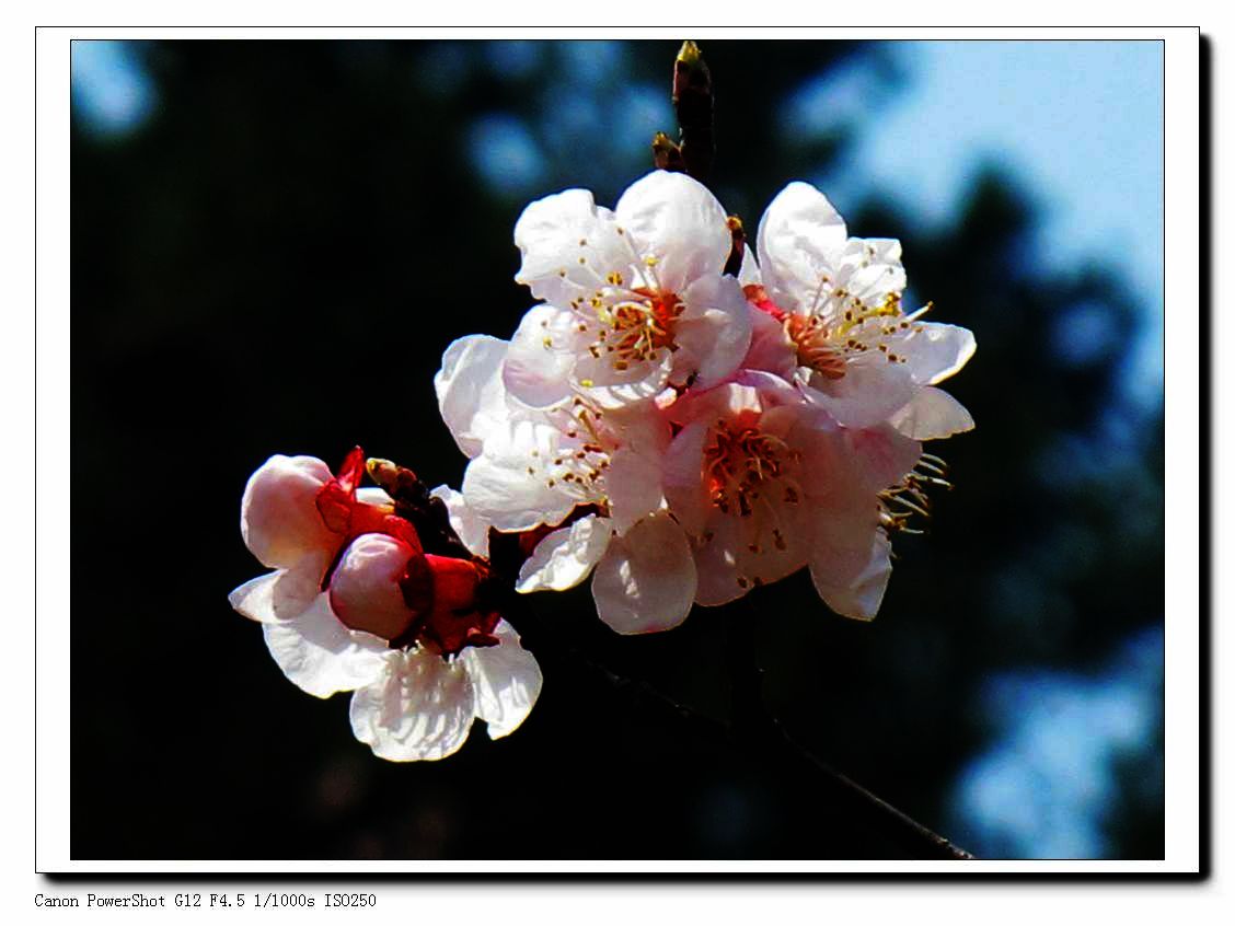 nEO_IMG_IMG_5710.jpg
