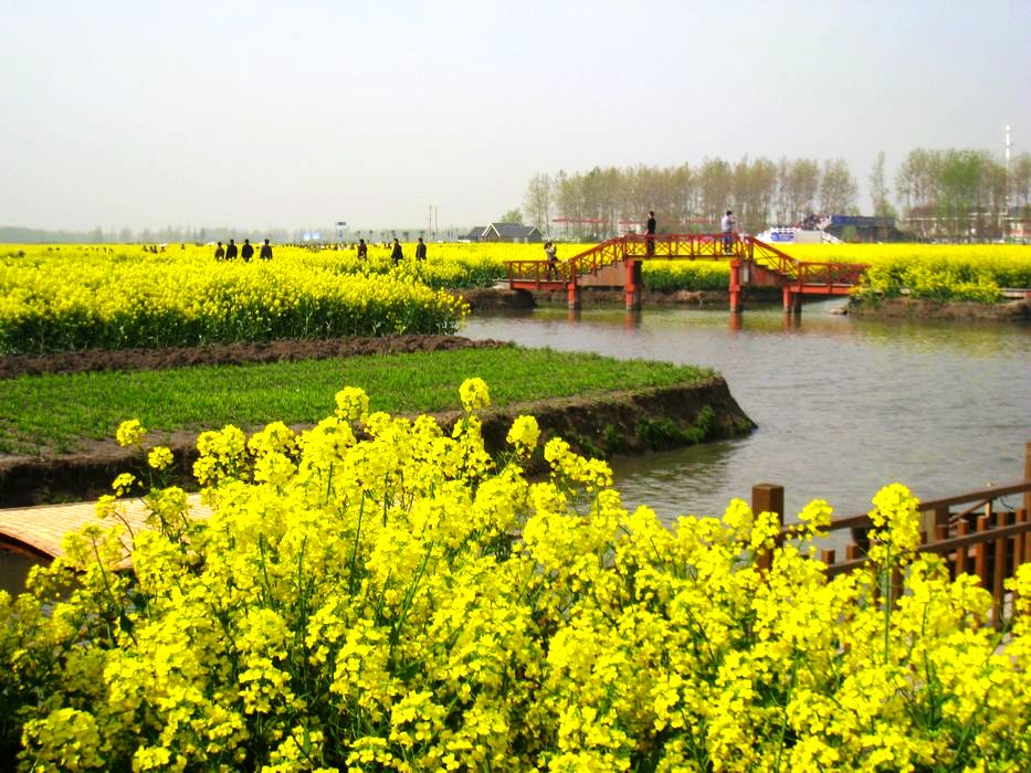 照片 317.jpg