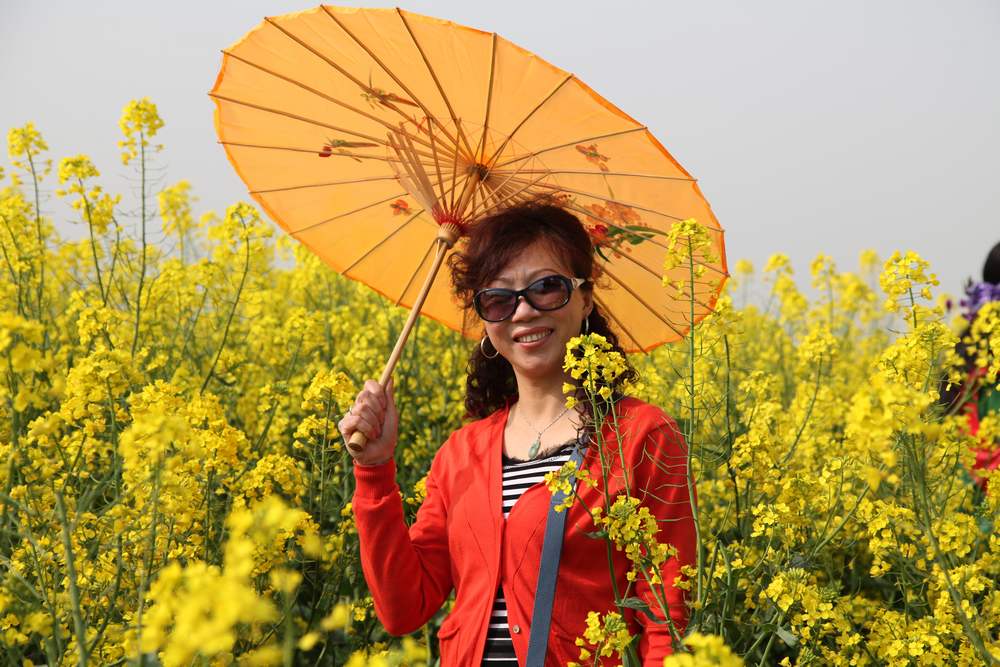 油菜花，扬州园林 120.jpg