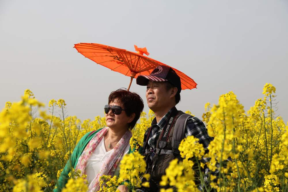 油菜花，扬州园林 134.jpg