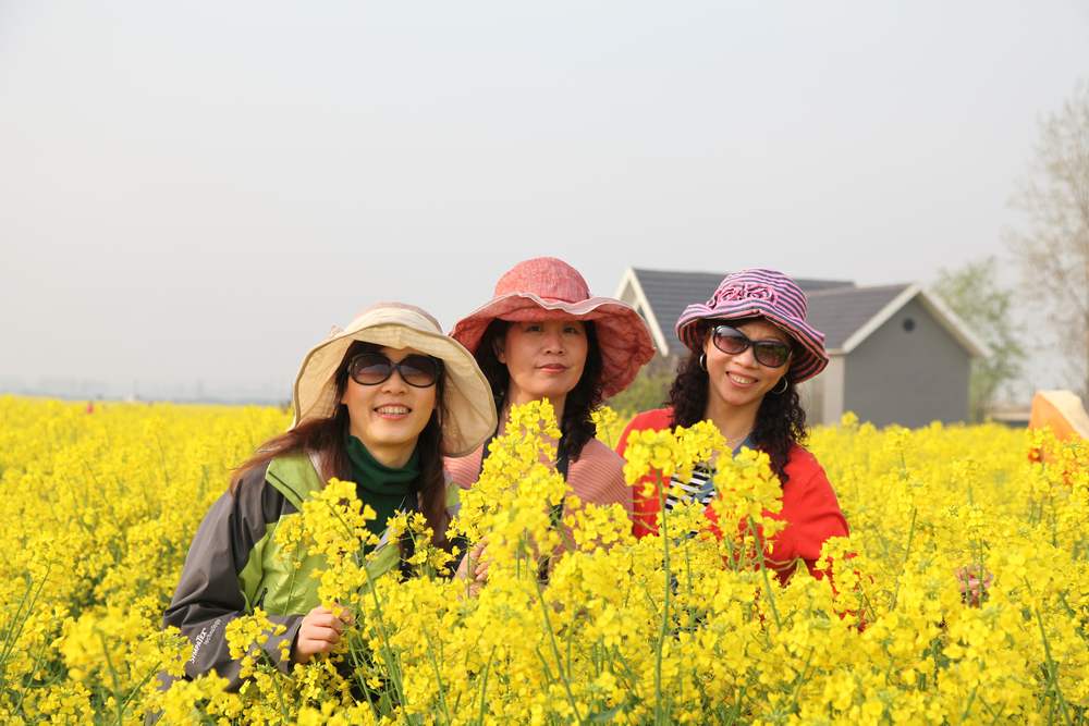 油菜花，扬州园林 041.jpg