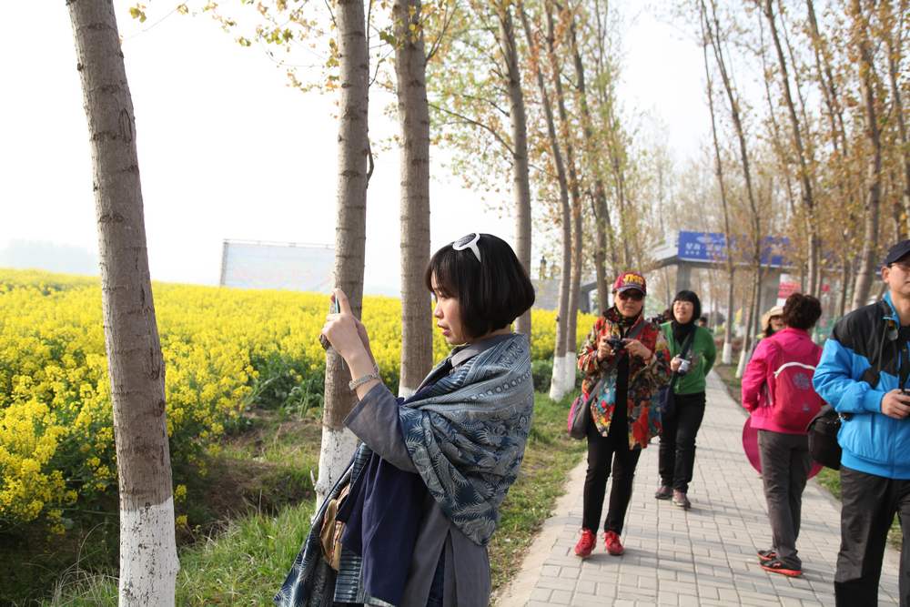 油菜花，扬州园林 051.jpg