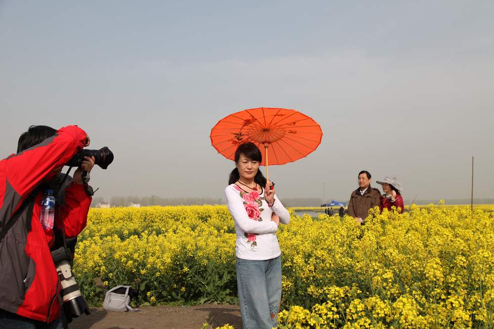 油菜花，扬州园林 111.jpg