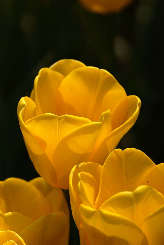 nEO_IMG_DSC06940.jpg