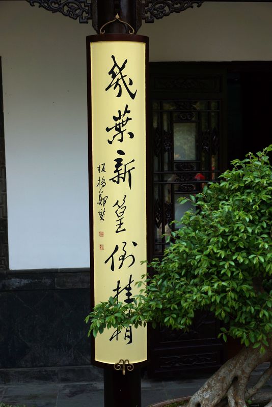 nEO_IMG_DSC06975.jpg