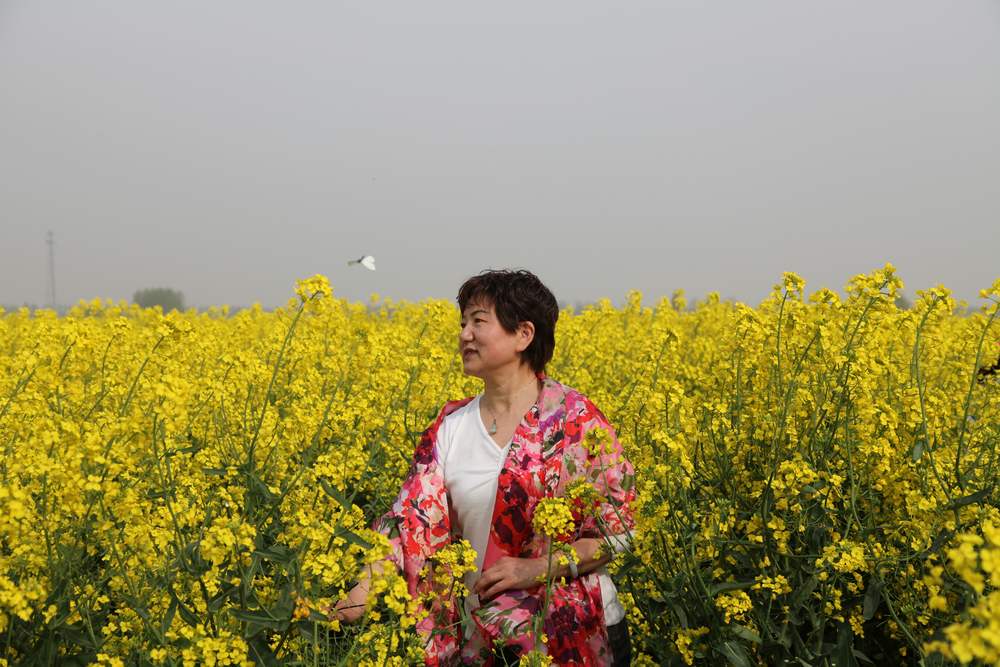 油菜花，扬州园林 189.jpg