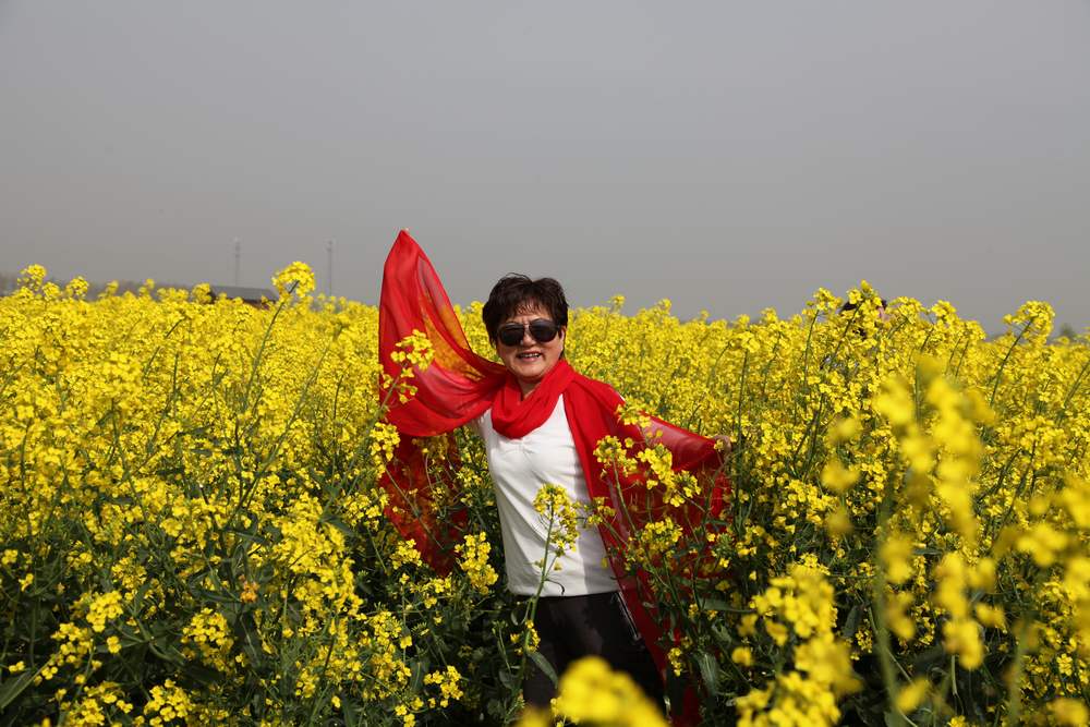 油菜花，扬州园林 192.jpg