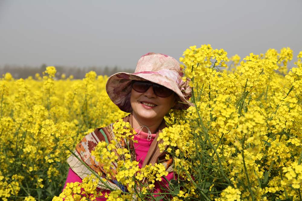 油菜花，扬州园林 240.jpg