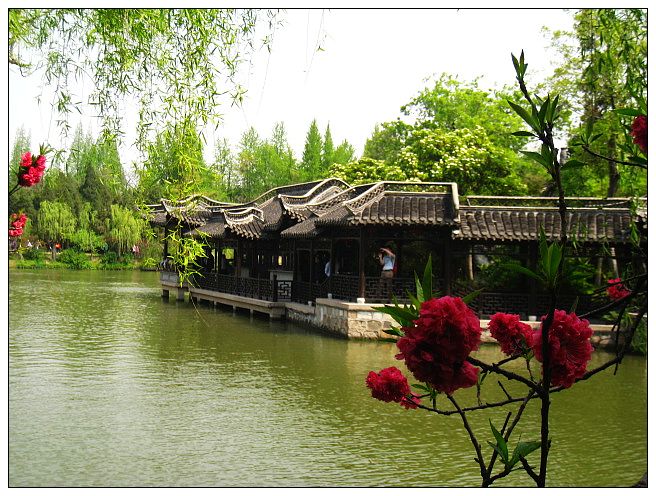 nEO_IMG_照片 679.jpg