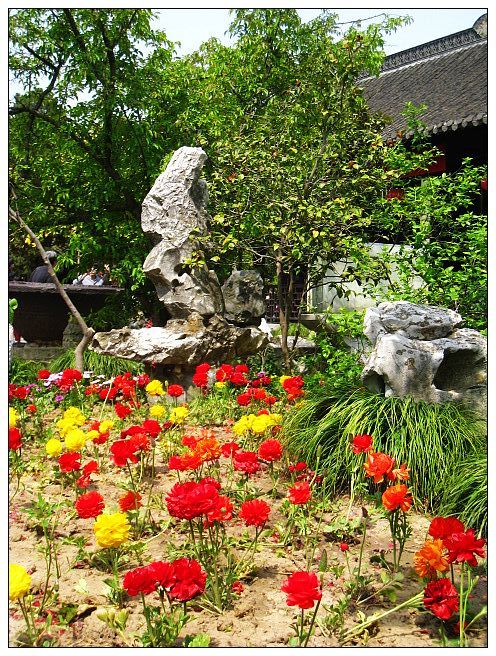 nEO_IMG_照片 750.jpg