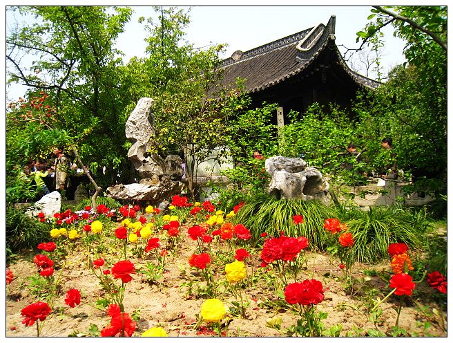 nEO_IMG_照片 751.jpg