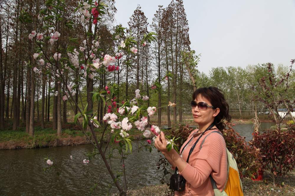 油菜花，扬州园林 459.jpg