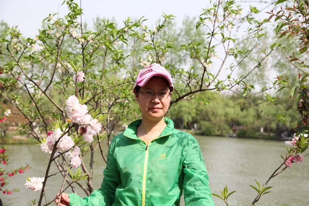 油菜花，扬州园林 522.jpg