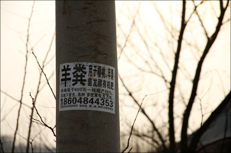 如此广告.jpg