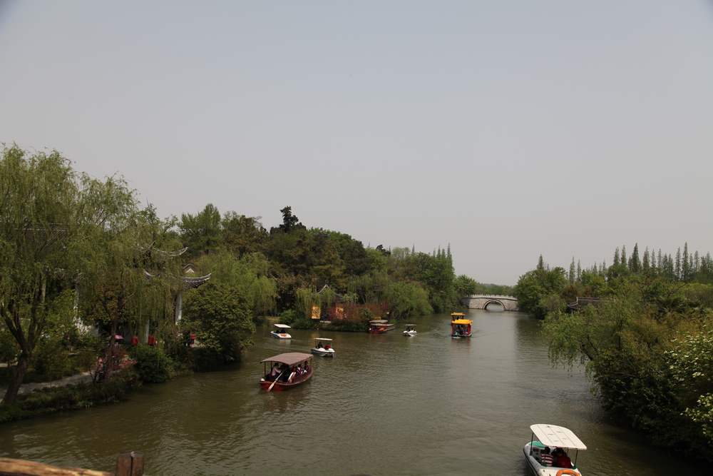 油菜花，扬州园林 581.jpg