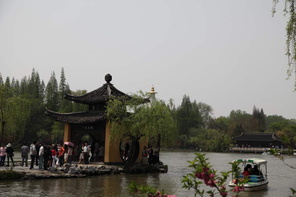 油菜花，扬州园林 625.jpg