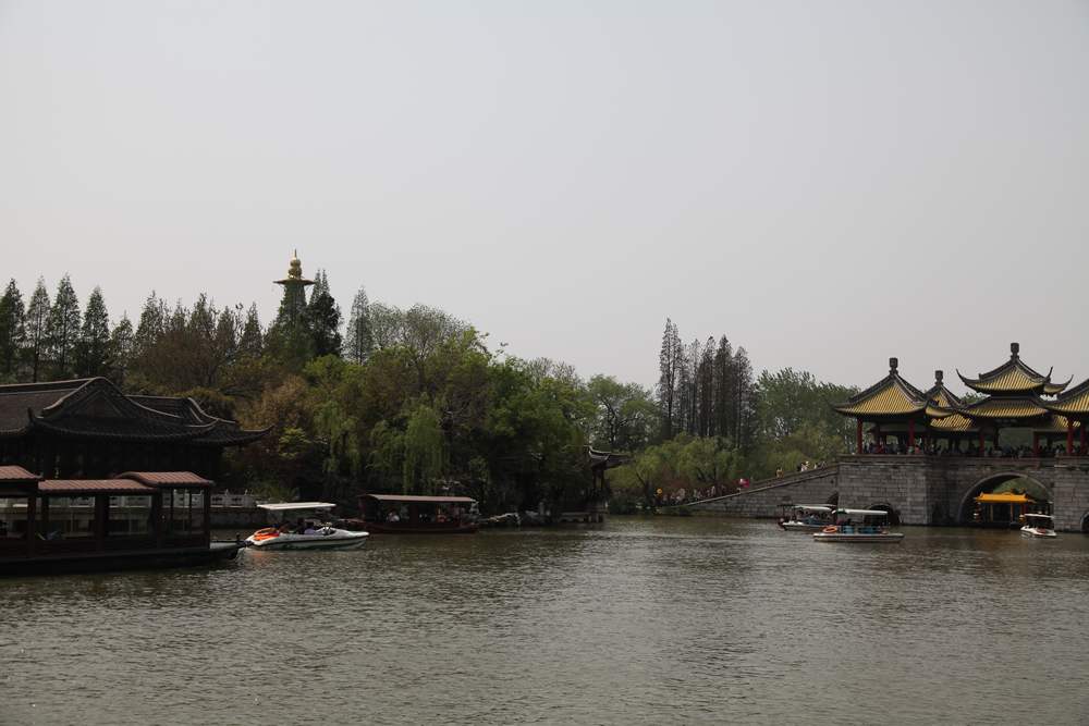 油菜花，扬州园林 633.jpg
