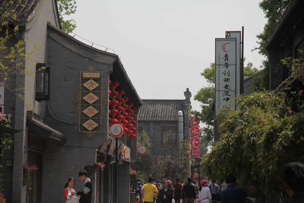 油菜花，扬州园林 655.jpg