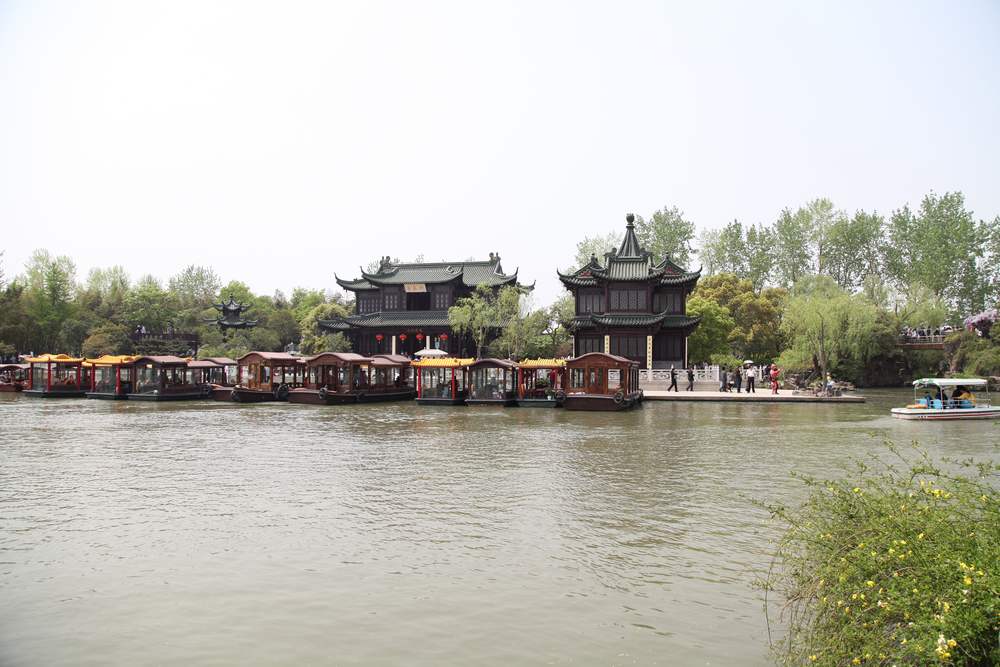 油菜花，扬州园林 643.jpg