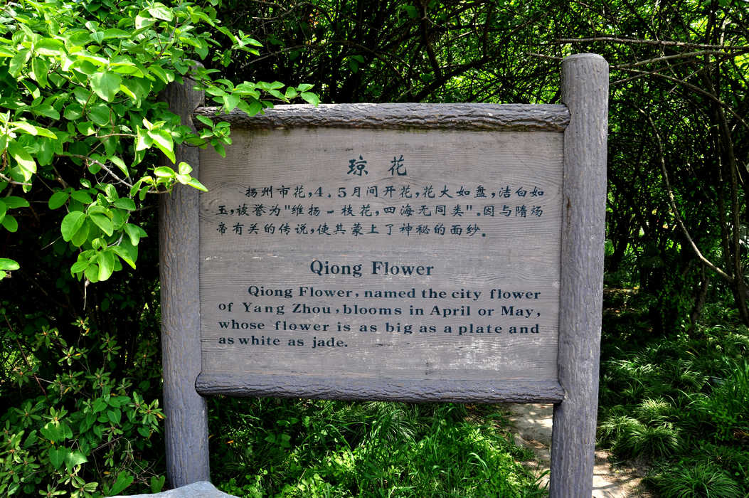 nEO_IMG_DSC_7122.jpg