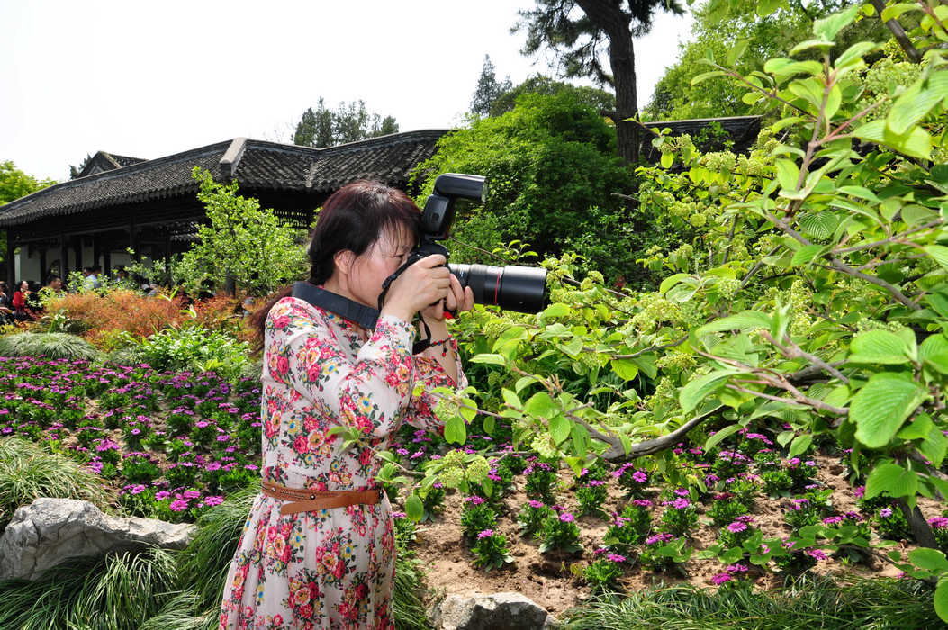 nEO_IMG_DSC_7165.jpg