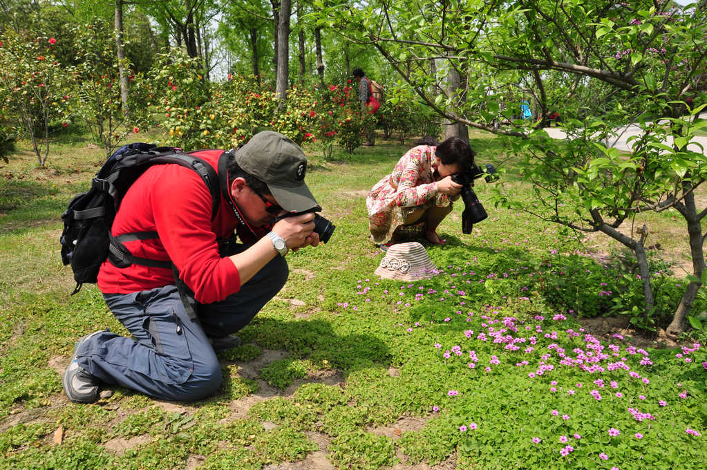 nEO_IMG_DSC_7223.jpg