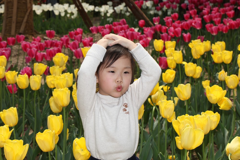 nEO_IMG_扬州 947.jpg
