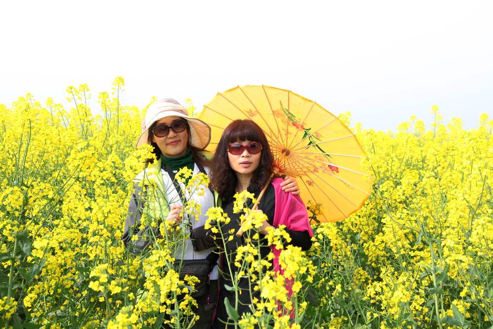 油菜花，扬州园林 117.jpg