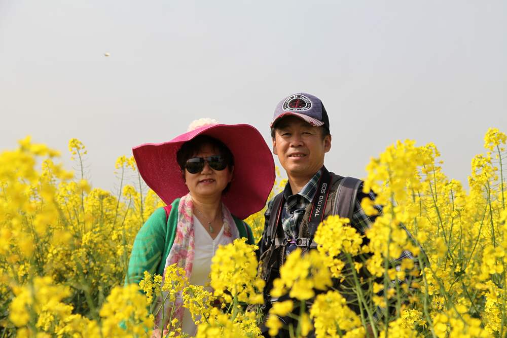 油菜花，扬州园林 132.jpg