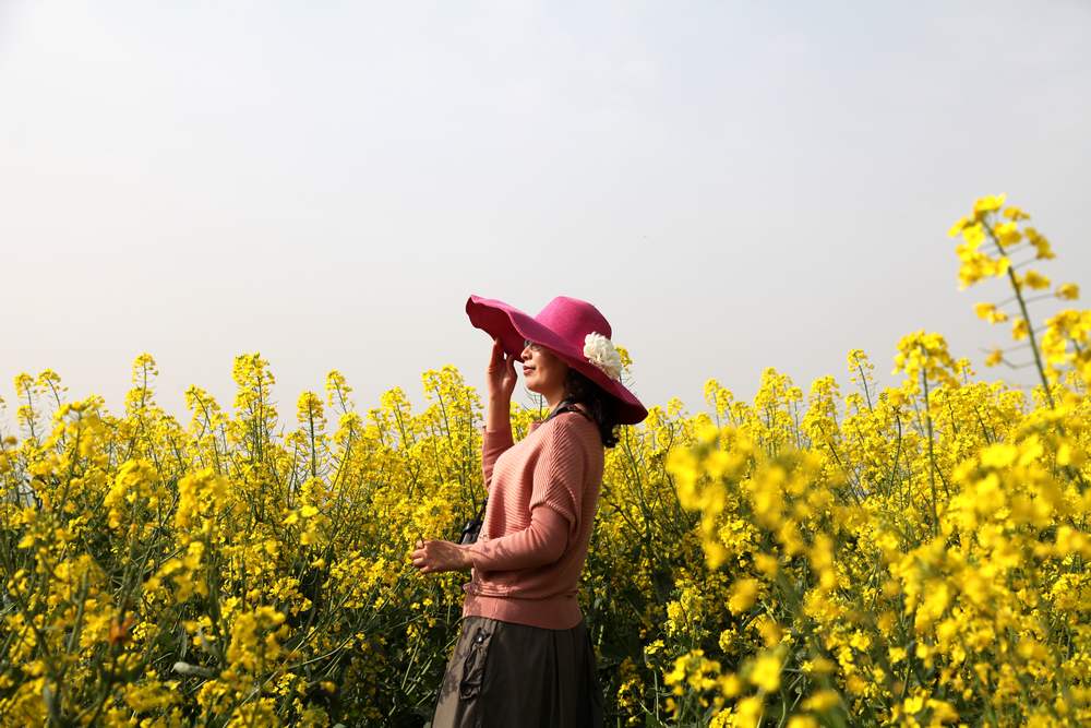 油菜花，扬州园林 138.jpg