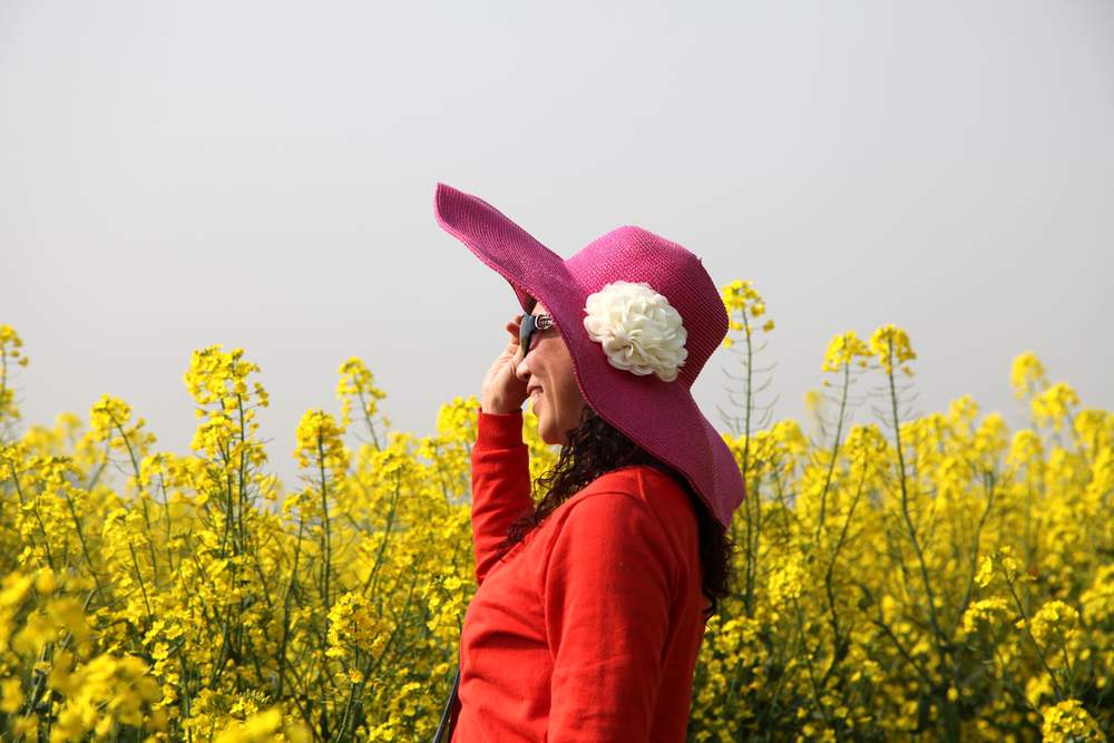 油菜花，扬州园林 139.jpg